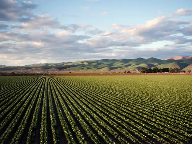 Agricultural-Bulk-Hauling