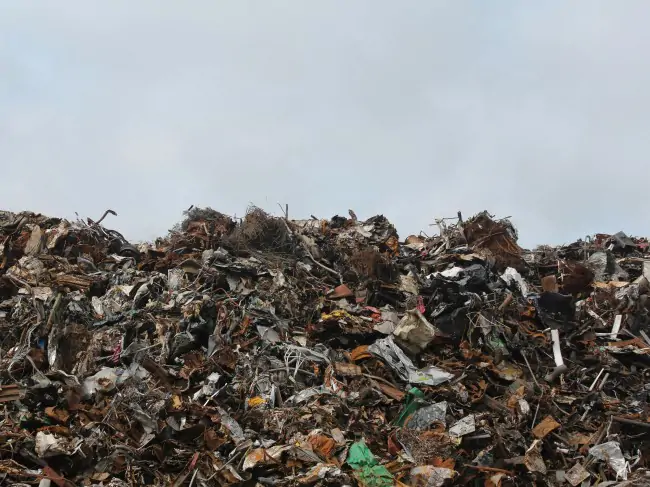 Waste-Management-Recycling