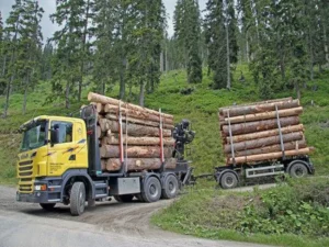 timber-truck